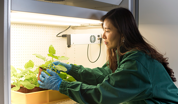 从亚洲中心开启未来:诺丁汉大学马来西亚分校的校园环境